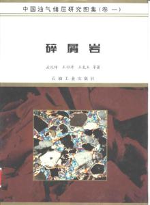 中国油气储层研究图集（第一卷）碎屑岩 Vol1