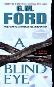 A Blind Eye: A Novel