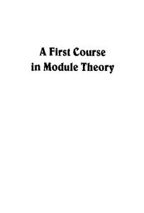 A First Course in Module Theory