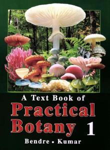 A textbook of practical botany 1