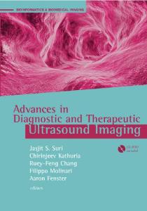 Advances in Diagnostic and Therapeutic Ultrasound Imaging (Bioinformatics & Biomedical Imaging)
