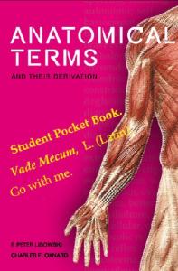 Anatomical terms and their derivation