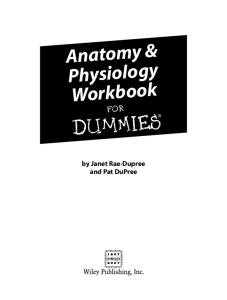 Anatomy & Physiology Workbook For Dummies