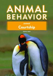 Animal Courtship (Animal Behavior)