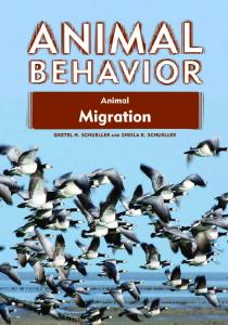 Animal Migration (Animal Behavior)