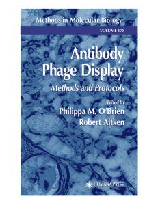 Antibody Phage Display