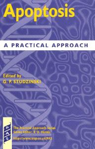 Apoptosis: A Practical Approach (Practical Approach Series)