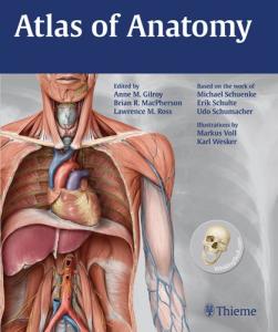 Atlas of anatomy (Thieme Anatomy)