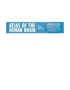 Atlas of the Human Brain, Third Edition