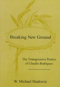 Breaking new ground: the transgressive poetics of Claudio Rodríguez