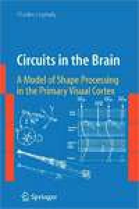 Circuits In The Brain: A Model of Shape Processing in the Primary Visual Cortex