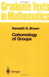 Cohomology of Groups (Graduate Texts in Mathematics)
