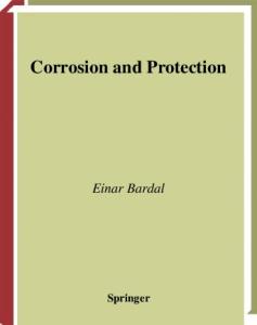 Corrosion and Protection (Engineering Materials and Processes)