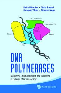 DNA Polymerases: Discovery, Characterization and Functions in Cellular DNA Transactions