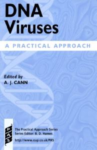 DNA Viruses: A Practical Approach (Practical Approach Series)