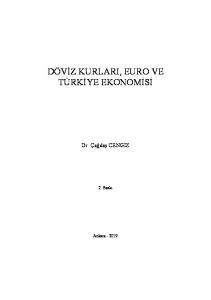 döviz kurları, euro ve türkiye ekonomisi (exchange rates, euro and turkish economy)