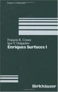 Enriques surfaces