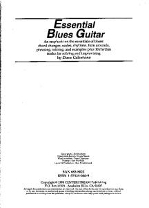 Essential Blues Guitar