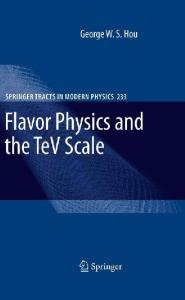 Flavor Physics and the TeV Scale (Springer Tracts in Modern Physics, 233)