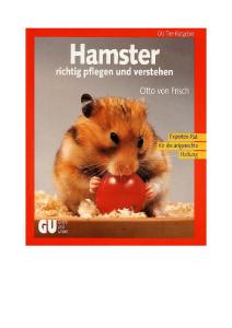 Hamster richtig pflegen und verstehen