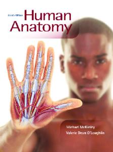 Human Anatomy, 3rd Edition