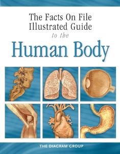 Illustrated Guide to the Human Body: The Respiratory System (Facts on File)