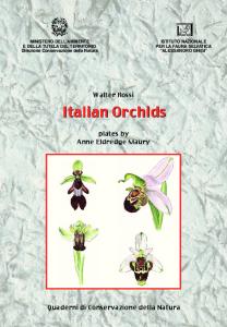 Italian Orchids
