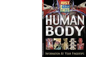 Just the Facts Human Body