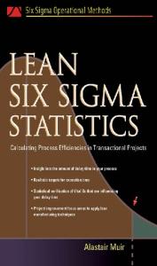 Lean Six Sigma Statistics: Calculating Process Efficiencies in Transactional Project (Six Sigman Operational Methods)