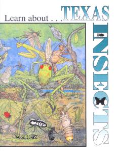 Learn about Texas Insects
