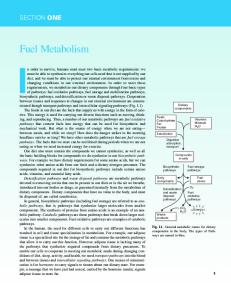 Lehninger-Principles of Biochemistry