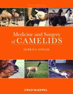 Medicine and Surgery of Camelids, 3rd Edition