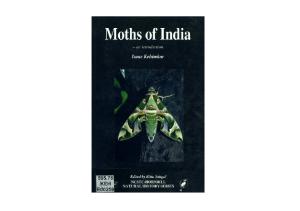 Moths of India - an Introduction