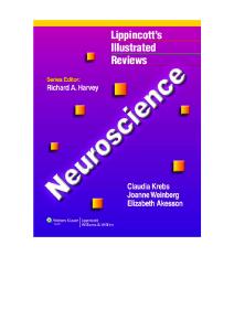 Neuroscience (Lippincott’s Illustrated Reviews)