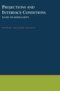 Projections and Interface Conditions: Essays on Modularity