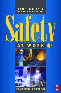 Safety at Work Seventh Edition