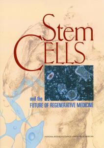 Stem Cells and The Future Of Regenerative Medicine