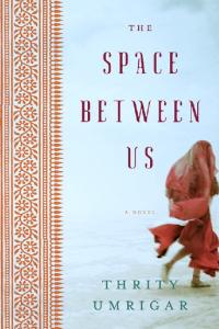 The Space Between Us: A Novel