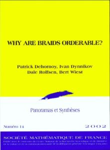 Why Are Braids Orderable?